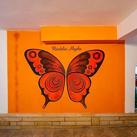 Hotel Mandalin Akyaka (Mugla)