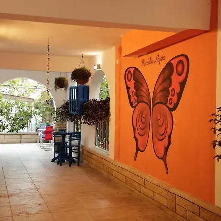 Mandalin Akyaka (Mugla)